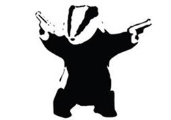 Badgers